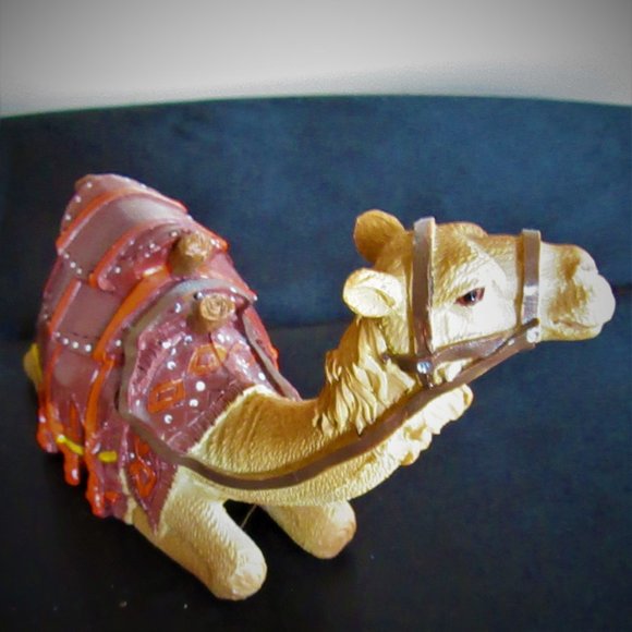 Camel good shape - Picture 7 of 11